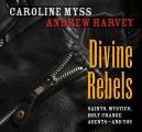 Divine Rebels: Saints, Mystics, Holy Change Agents-And You