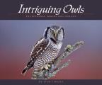 Intriguing Owls: Extraordinary Images and Insight Cover
