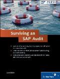 Surviving an Sap Audit