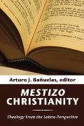 Mestizo Christianity : Theology From the Latino Perspective (04 Edition)
