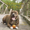 For the Love of Pit Bulls 2013 Calendar