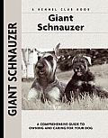 Giant Schnauzer