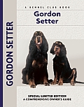 Gordon Setter