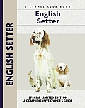 English Setter