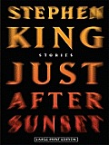 Just After Sunset: Stories (Large Print) (Large Print Press)