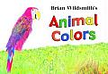 Animal Colors (Large Print)