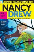 Nancy Drew: Girl Detective #13: Nancy Drew #13 Doggone Town