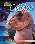 California+condors+band