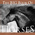 The Big Book of Horses