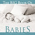 The Big Book of Babies (Big Book of . . .)