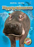Hippopotamuses (Animal Safari)