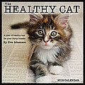 Healthy Cat: A Year of Healthy Tips for Your Furry Friends