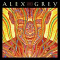 Alex Grey 2013 Wall Calendar