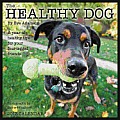 The Healthy Dog 2013 Wall Calendar: A Year of Healthy Tips for Your Four-Legged Friends