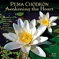 Pema Chodron: Awakening the Heart 2013 Wall Calendar