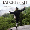 Tai Chi Spirit 2013 Wall Calendar