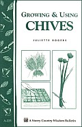 Growing & Using Chives