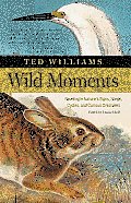 Wild Moments
