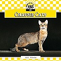 Chausie Cats (Checkerboard Animal Library: Cats)