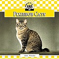 Pixiebob Cats (Checkerboard Animal Library: Cats)