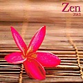 2013 Zen Wall