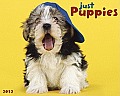 Just Puppies