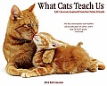 What Cats Teach Us
