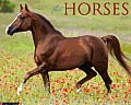 Horses