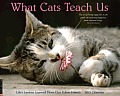 What Cats Teach Us