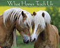 What Horses Teach Us