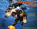Underwater Dogs