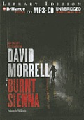 Burnt Sienna Cover