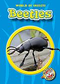 Beetles
