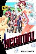 Negima! 12 (Negima!: Magister Negi Magi) Cover