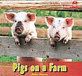 Pigs on a Farm
