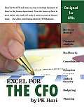 Excel for the CFO (Excel for Professionals)
