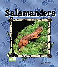 Salamanders Cover