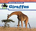 Giraffes (Big Buddy Books: African Animals) Cover