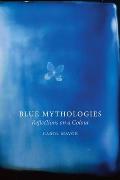 Blue Mythologies: Reflections on a Colour