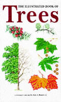 Illustrated Book of Trees a Visual Guide To Mo Cover