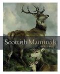 Scottish Mammals