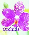 Orchids