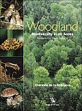 Portrait of a Woodland