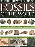 The Illustrated Guide to the Fossils of the World: A Comprehensive Directory of Fossilized Organisms, Including Horsetails, Ferns, Marine Corals, Spon