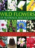 Wild Flowers of Australia and Oceania: An Illustrated Guide to the Floral Diversity of Australia, New Zealand and the Islands of the Pacific Ocean, wi