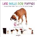 Life Skills for Puppies: Laying the Foundation for a Loving, Lasting Relationship