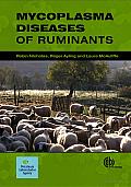 Mycoplasma Diseases of Ruminants