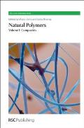 Natural Polymers: Volume 1: Composites (Rsc Green Chemistry)