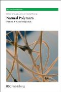 Natural Polymers: Volume 2: Nanocomposites (Rsc Green Chemistry) Cover