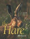 The Hare